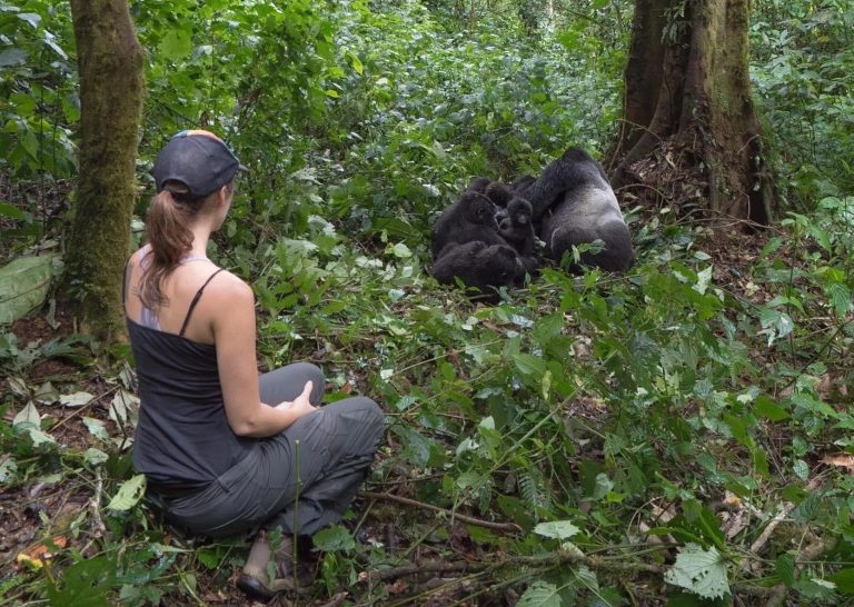 Rushaga Havens Gorilla Lodge